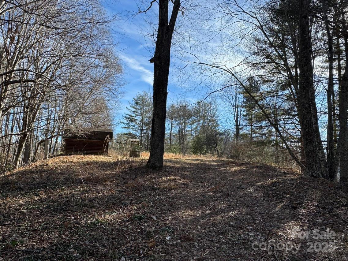 TBD Palmers Peak Rd. #79-90, Vilas, NC 28692