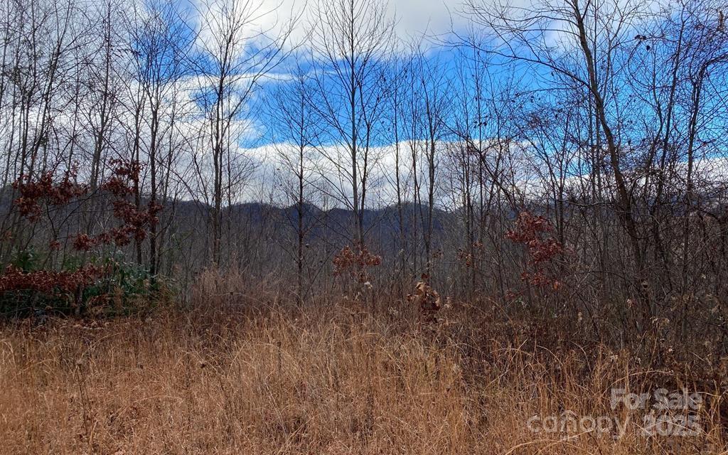 Lot G2 Georgianna Ln., Bryson City, NC 28713