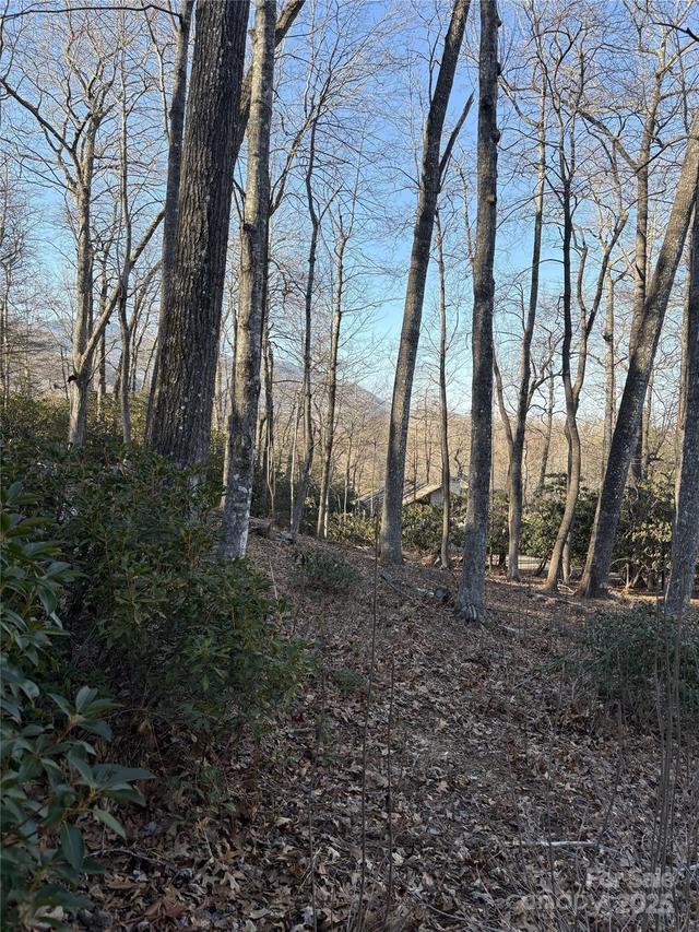 000 Fairway Loop #6, Burnsville, NC 28714