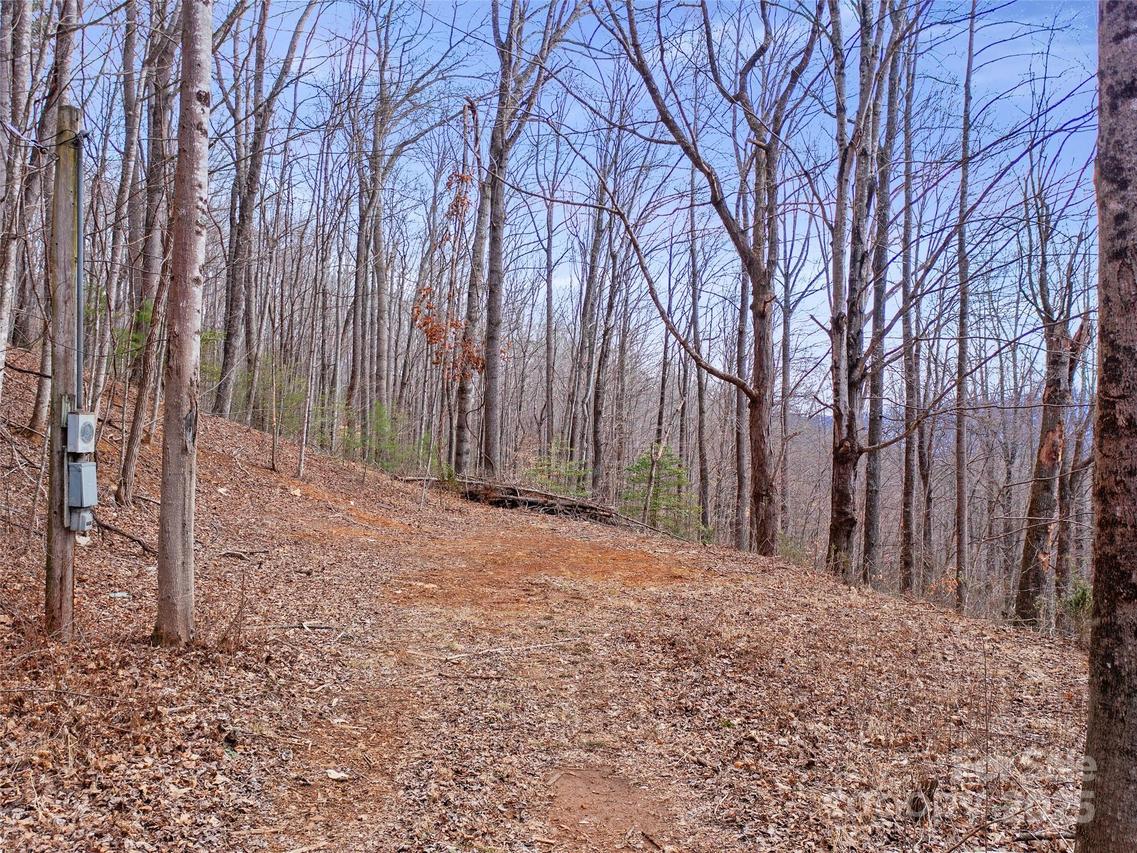 312 Shuford Creek Rd., Burnsville, NC 28714