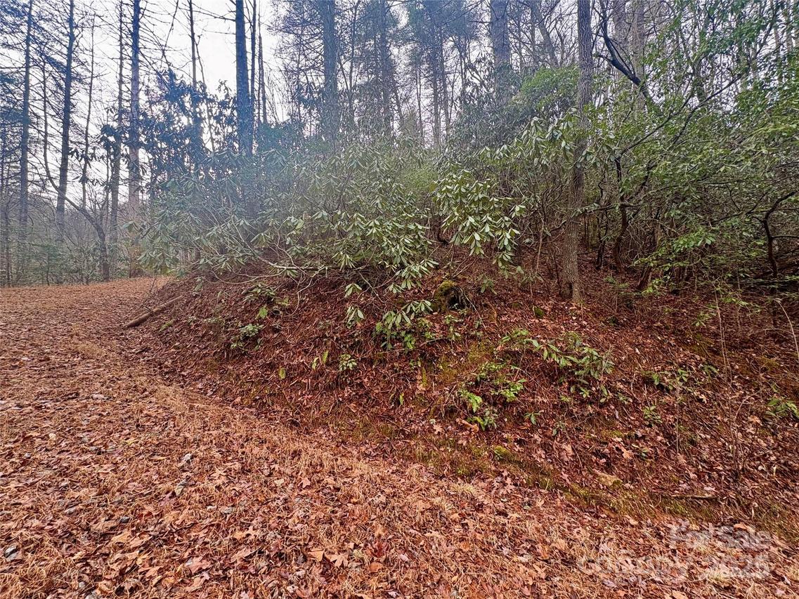 Indian Rock Ln. #7A&B, Bryson City, NC 28713