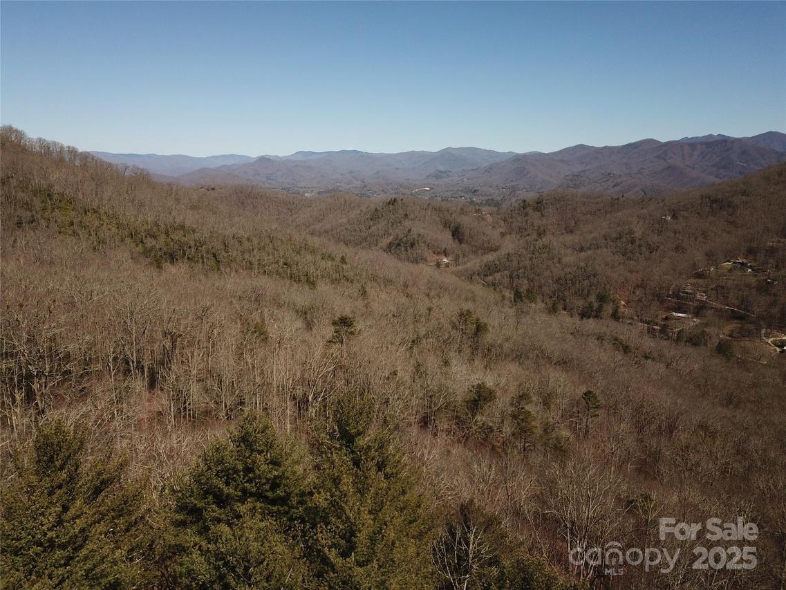 TBD Andrew Davis Rd., Whittier, NC 28789