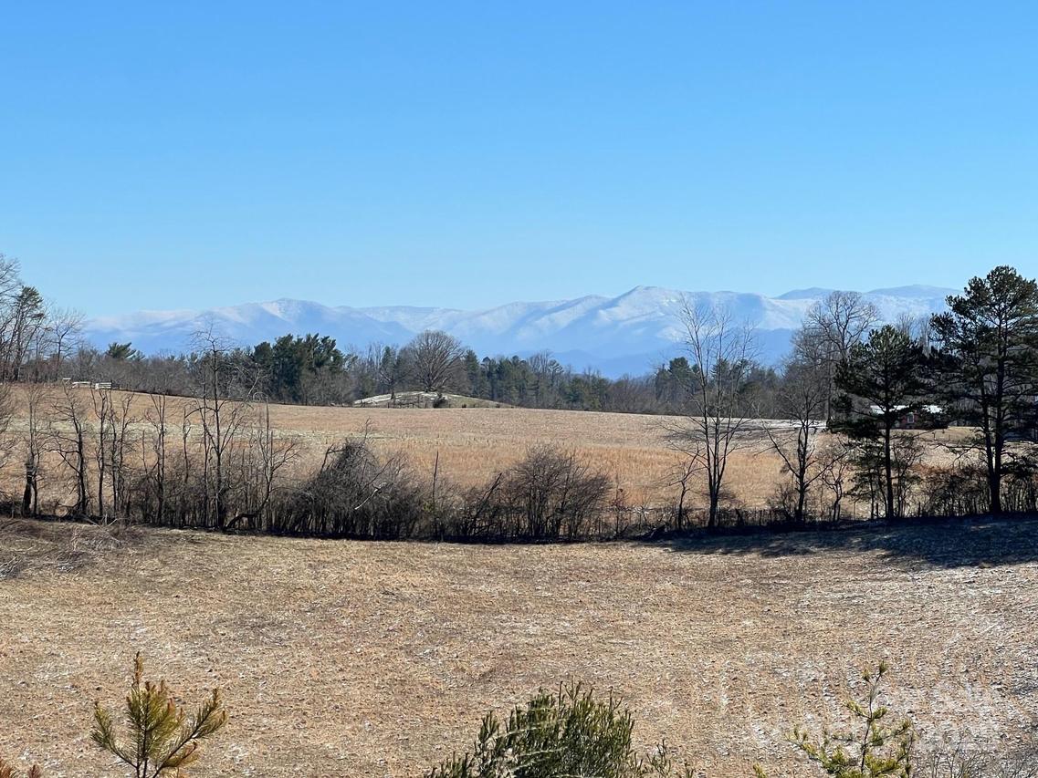 7550 Meadows Town Rd., Marshall, NC 28753