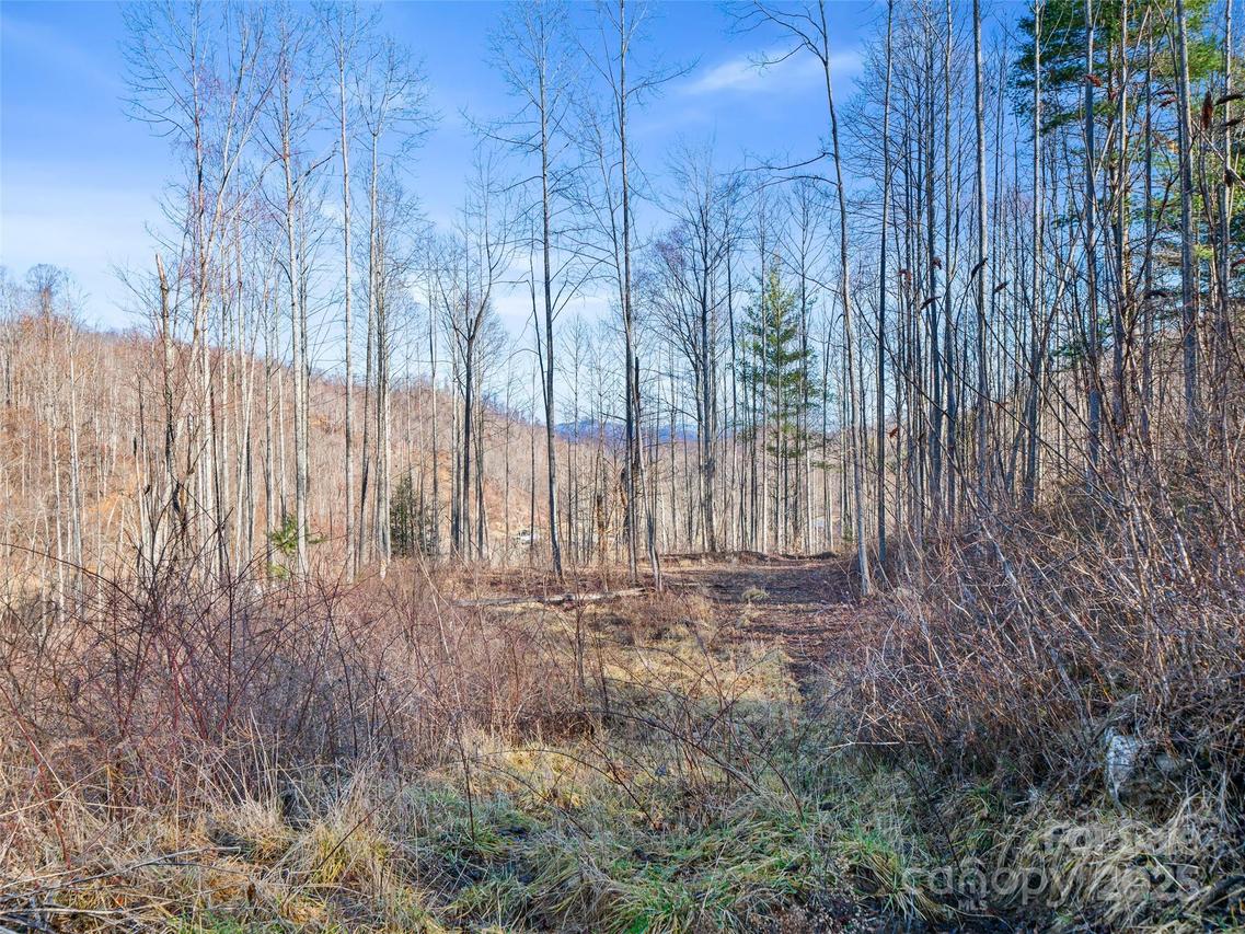 TBD Prices Creek Rd., Burnsville, NC 28714