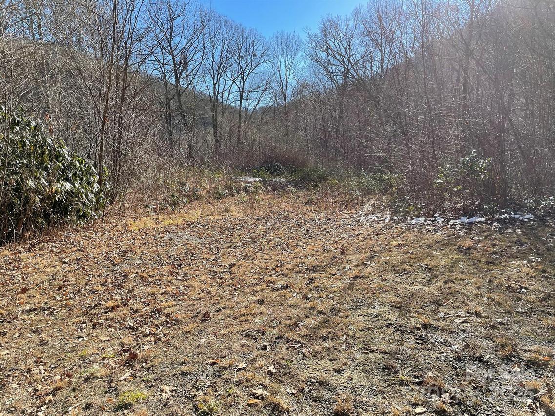 Deep Gap View #51, Whittier, NC 28789