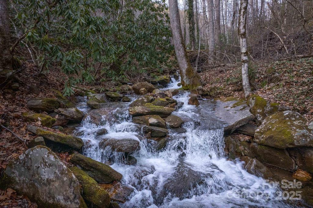 10 Herron Branch Rd., Whittier, NC 28789
