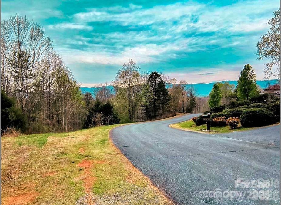 Lot #28 Lake Adger Pkwy. #28, Mill Spring, NC 28756