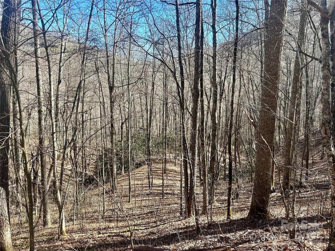 Deep Gap View #52&53, Whittier, NC 28789