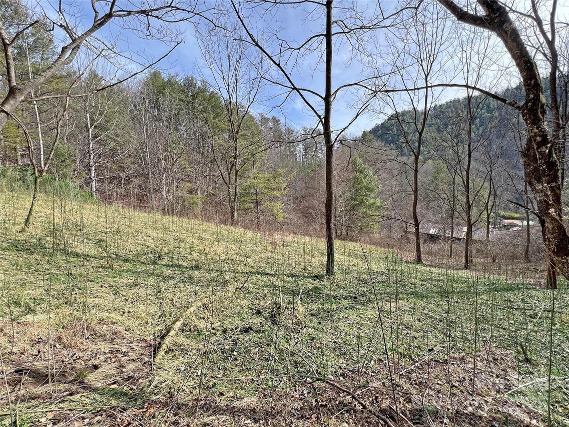 2182-B Meadow Fork Rd., Hot Springs, NC 28743