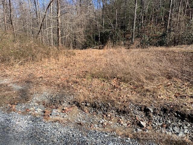 10.01 ac Pleasant Grove Rd. #TRACT 3, Hendersonville, NC 28739