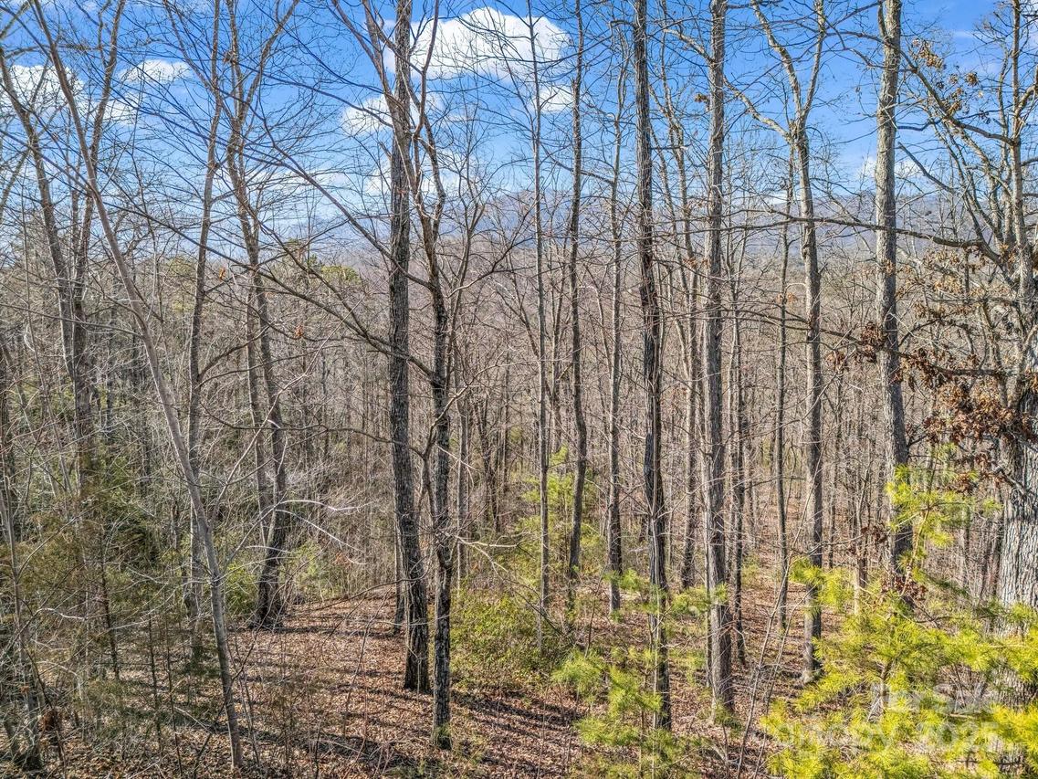 Golden Ridge Dr., Lake Lure, NC 28746