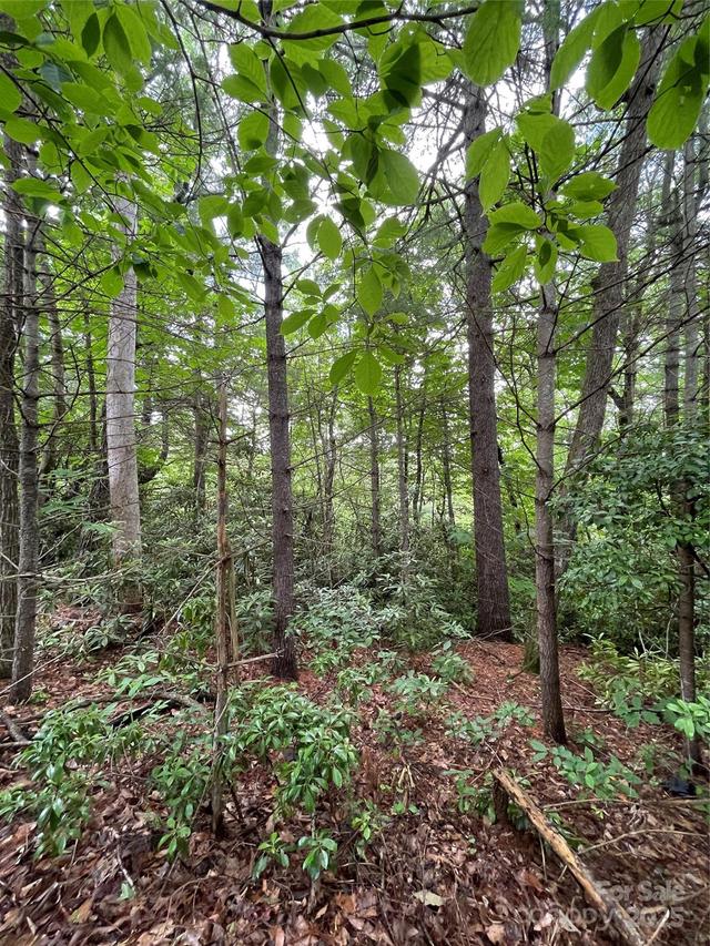 # 33 Woodglen Ct., Flat Rock, NC 28731