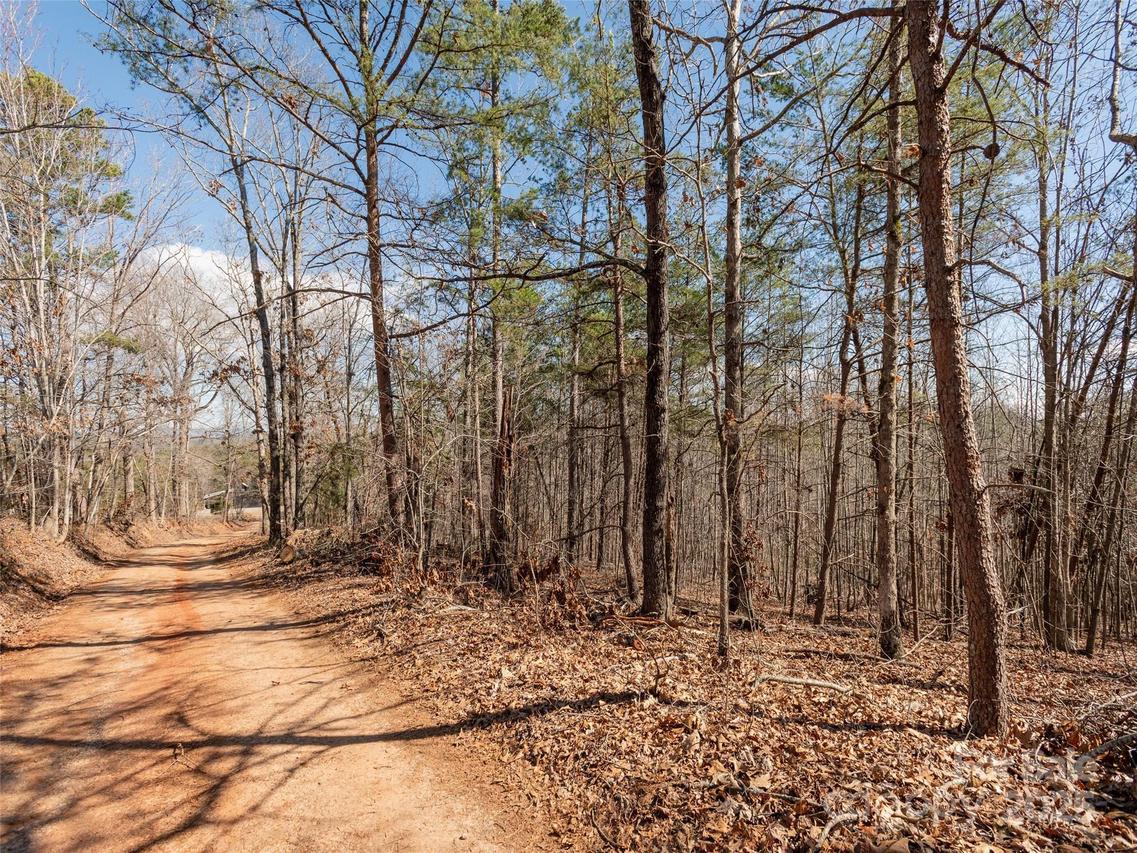 00 George Parker Dr., Rutherfordton, NC 28139