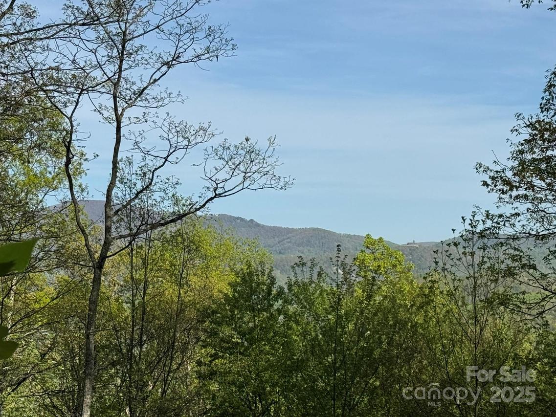 0000 Laurel Creek Dr. #32, Hendersonville, NC 28792