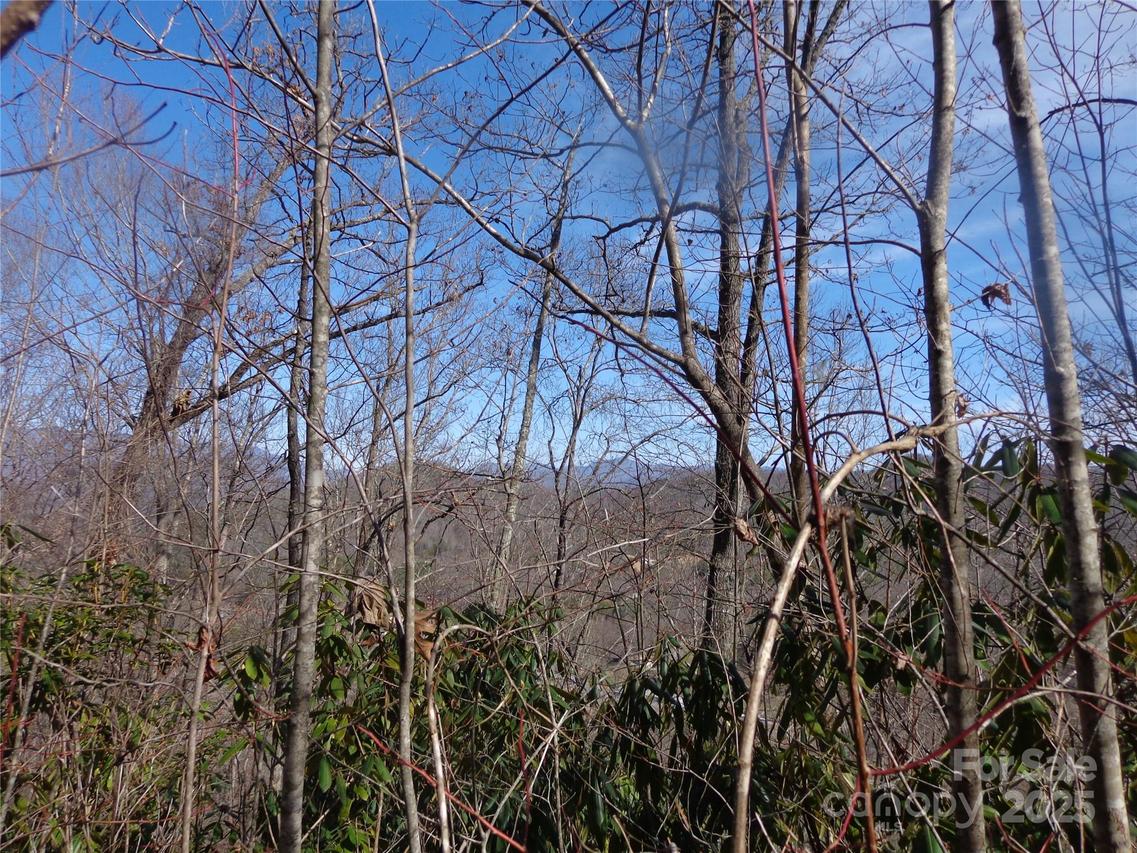 Lot 7 Plainview Ridge, Sylva, NC 28779