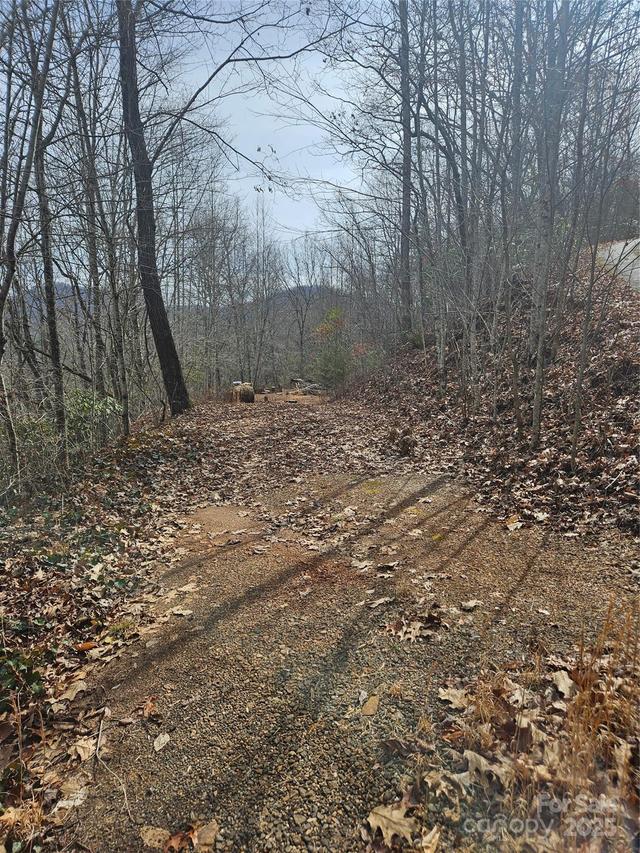 197 Plain View Ridge, Sylva, NC 28779