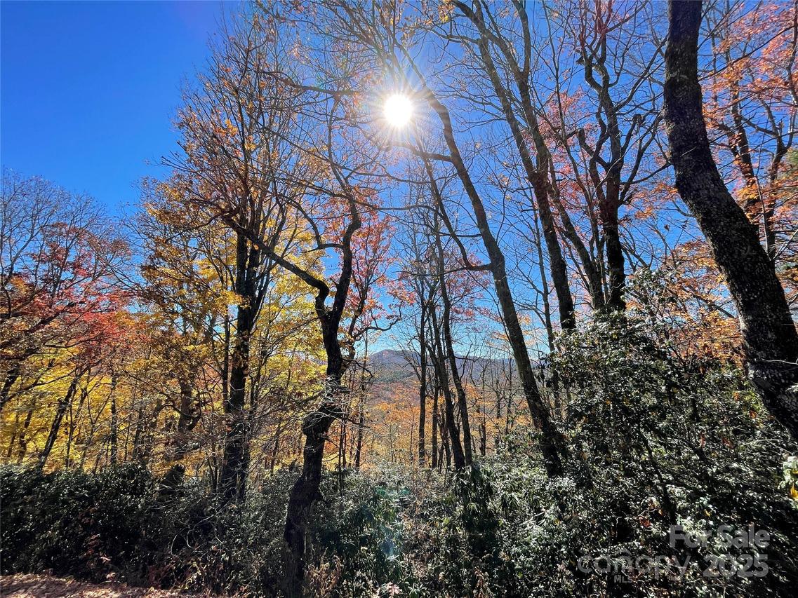 Lot 10 Shirley Pressley Rd. #10, Glenville, NC 28736