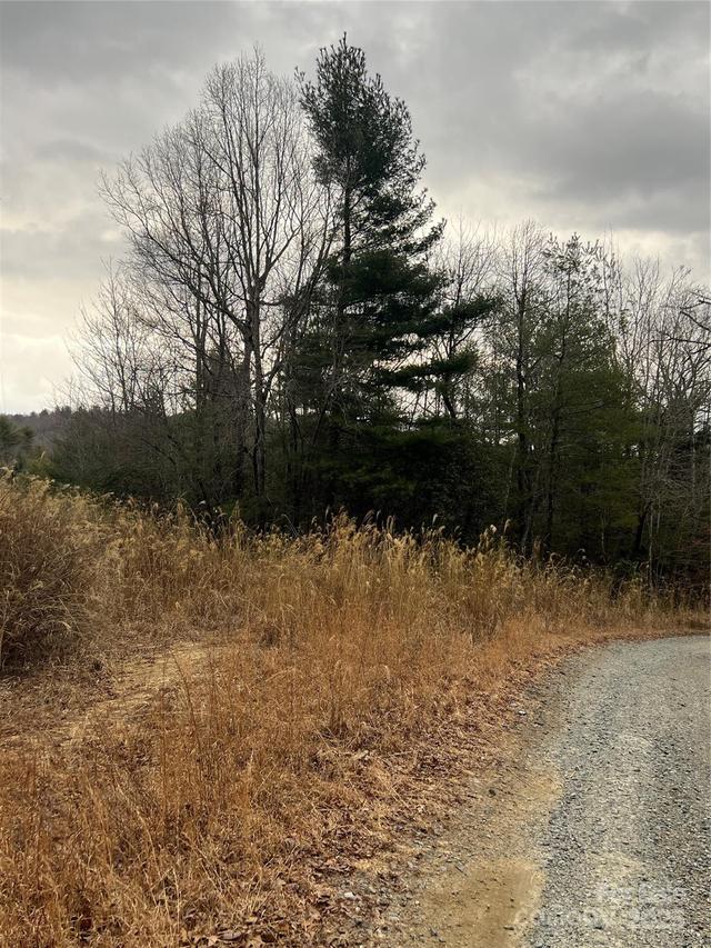 000 Dogwood Ln. #D4, Penrose, NC 28739