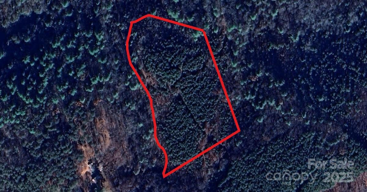 00 Valleydale Dr., Casar, NC 28020