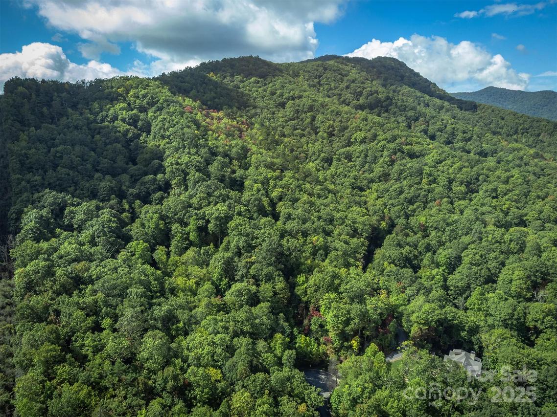 66 Sisters View Dr. #159, Black Mountain, NC 28711