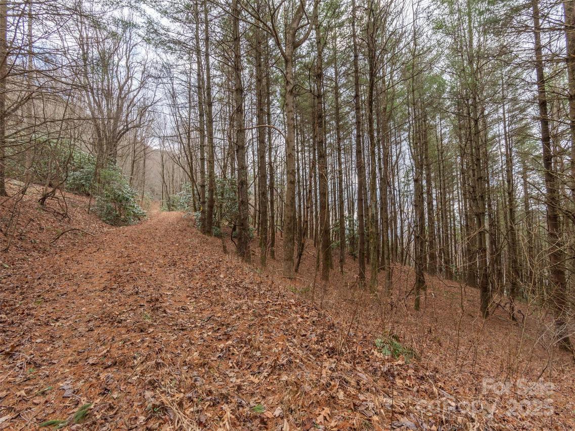 00 Bald Creek Rd., Clyde, NC 28721