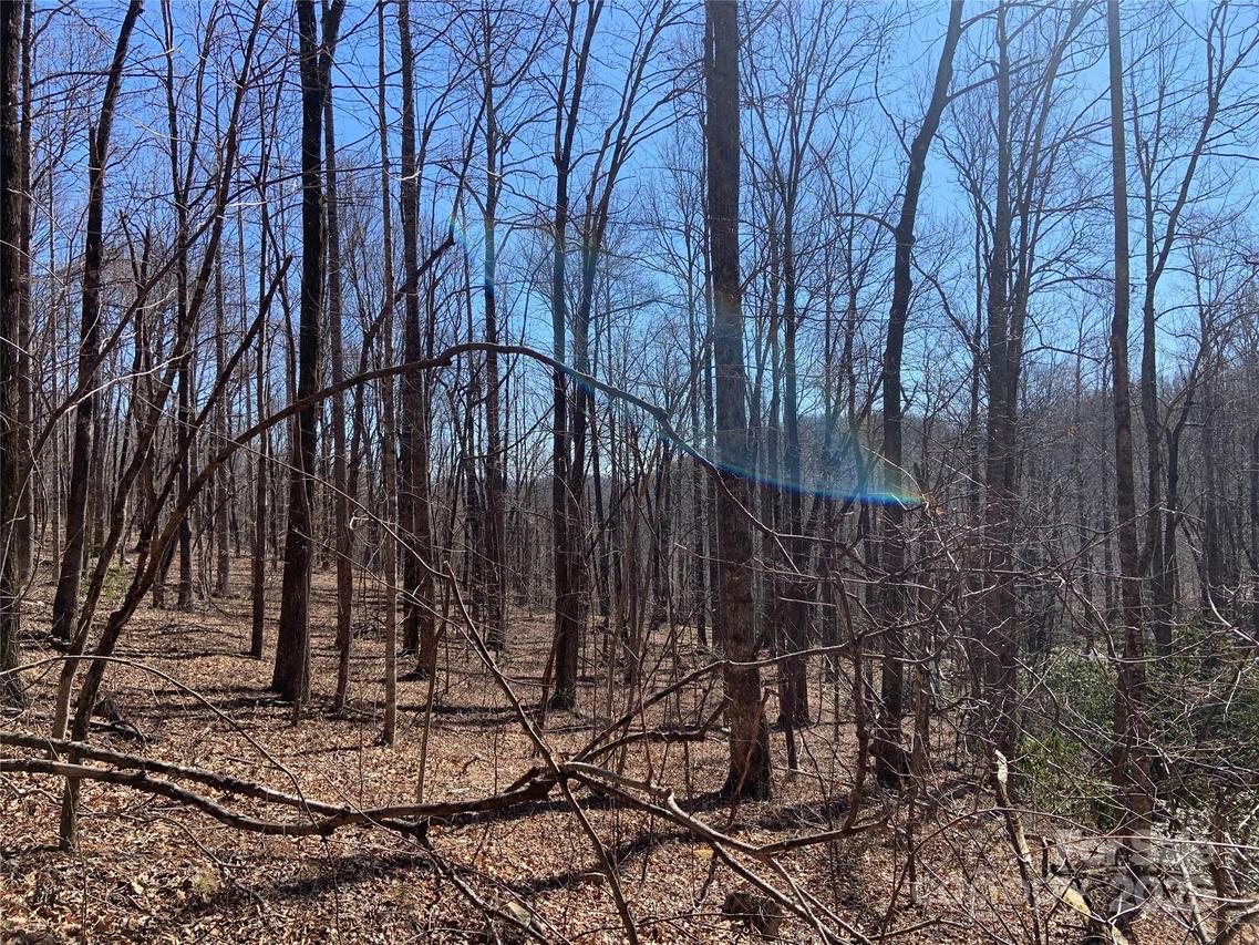 TBD Glen Ridge Tr. #252, Lake Lure, NC 28746