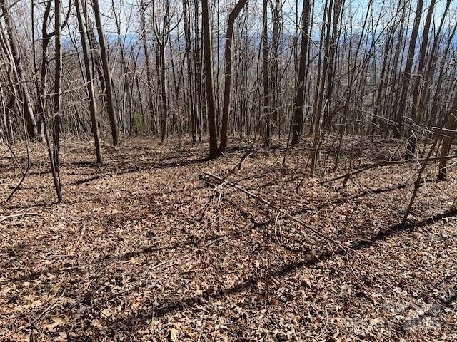 937 South View Rd., Old Fort, NC 28762