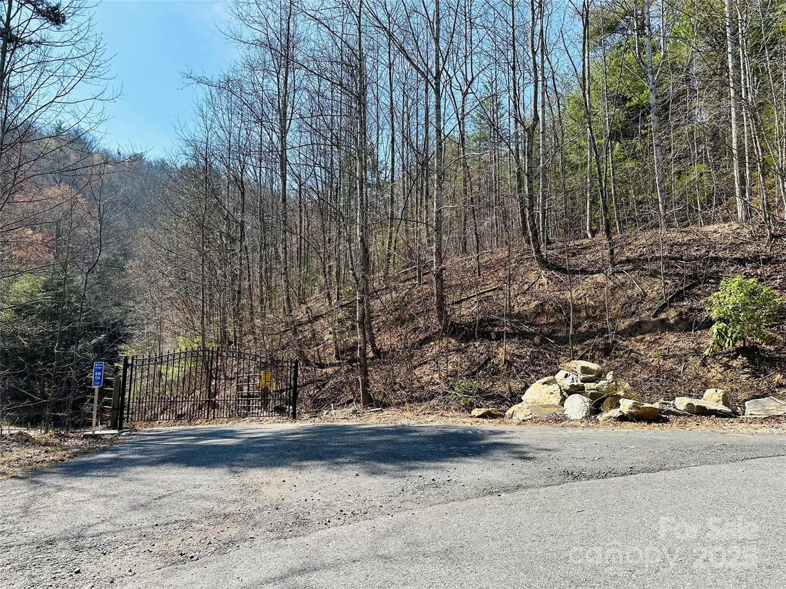 00 Staghorn Rd., Purlear, NC 28665