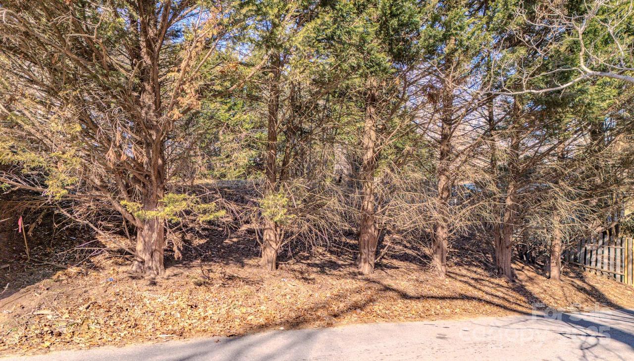 8 John St., Asheville, NC 28801