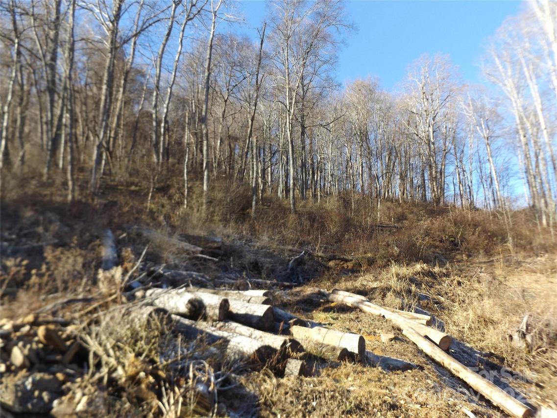 00 Kims Cove Rd., Canton, NC 28716