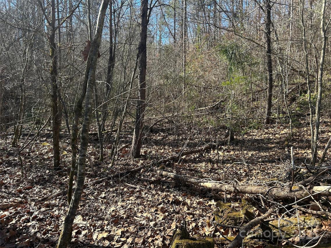 0000 Ham Creek Rd., Union Mills, NC 28167