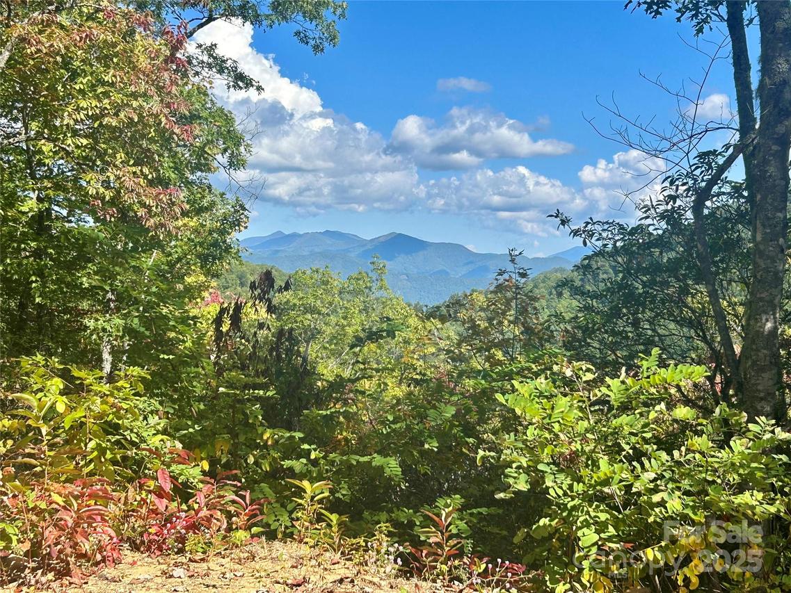 Middle Ridge #31&32, Whittier, NC 28789