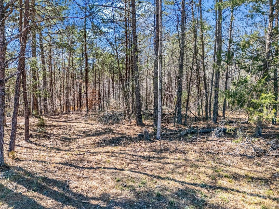 00 Petite Ct., Rutherfordton, NC 28139