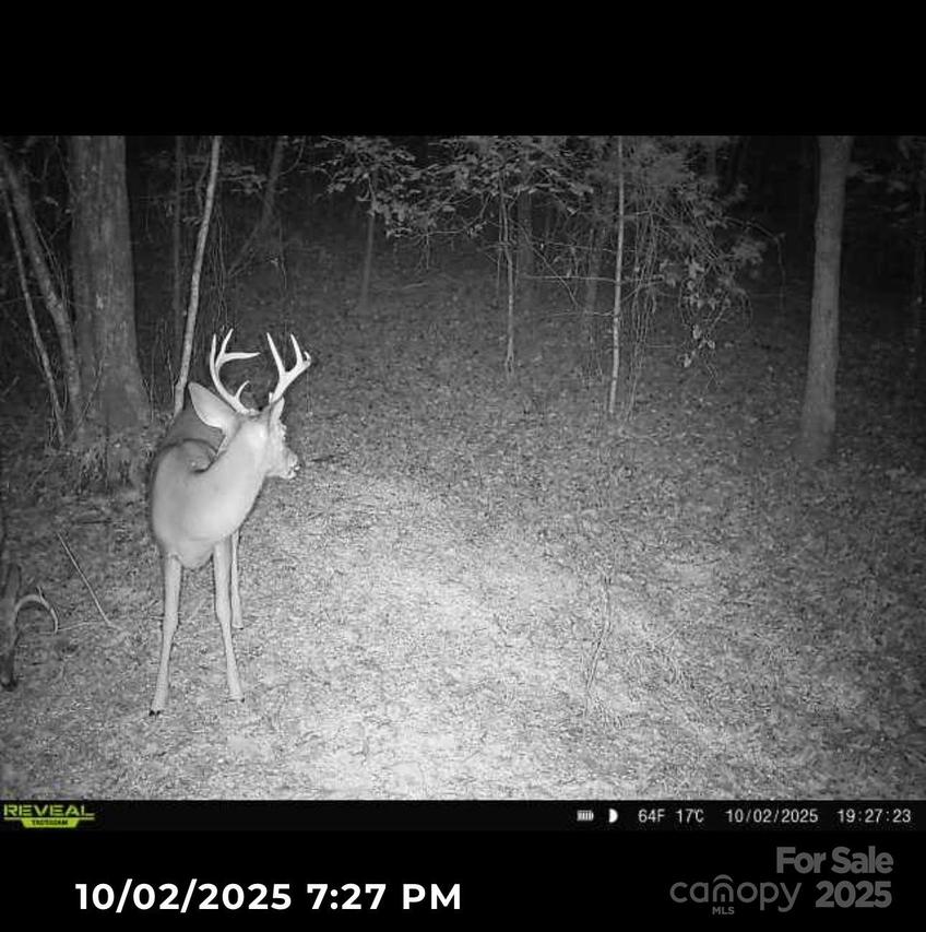 000000 Pinnacle Church Rd., Nebo, NC 28761