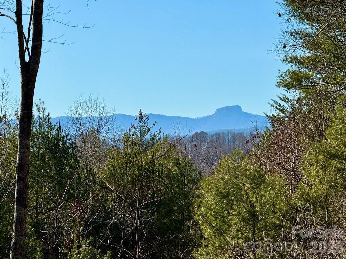 54.2 acres, Lot 837 High Valley Way #837, Lenoir, NC 28645