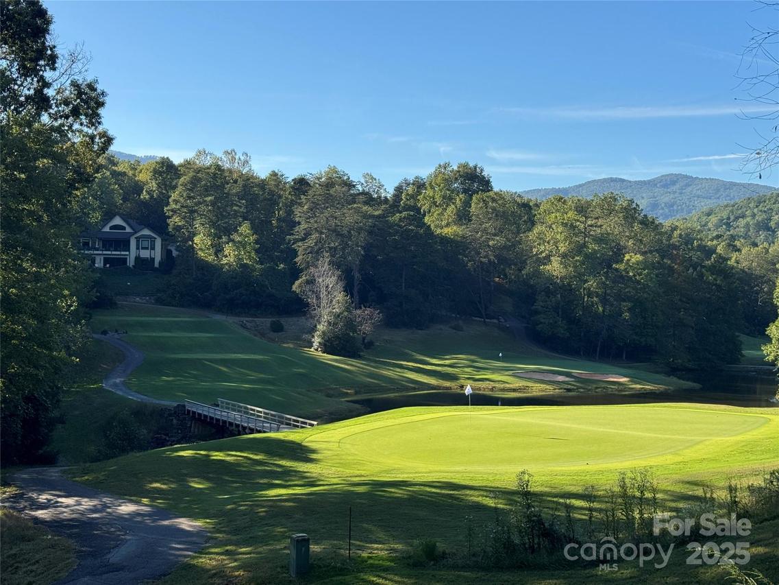 156 Sheepnose Dr., Lake Lure, NC 28746
