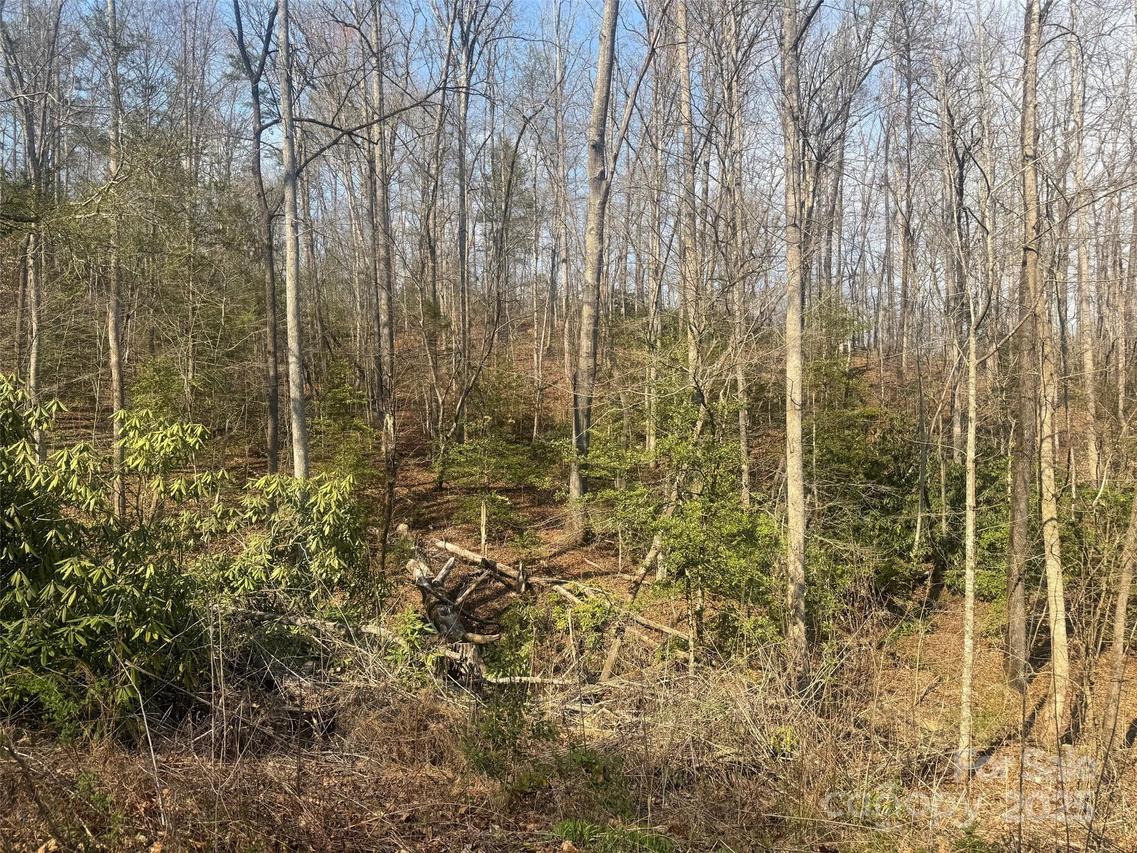 1 High Country Dr. #1&2, Old Fort, NC 28762