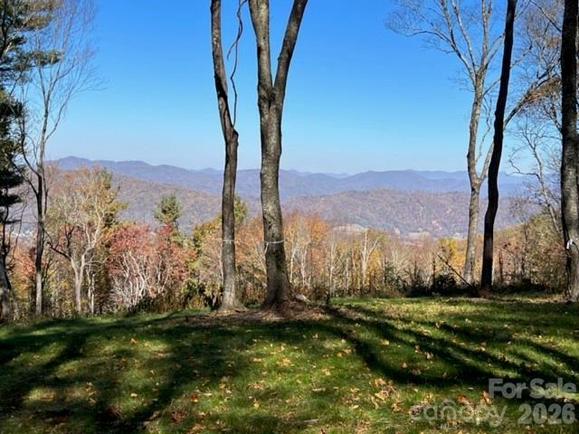 TBD East Garden Tr. #18, Hendersonville, NC 28792