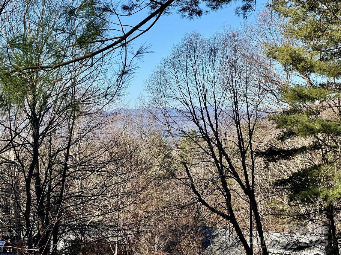 15 Elmwood Ln. #161, Asheville, NC 28803