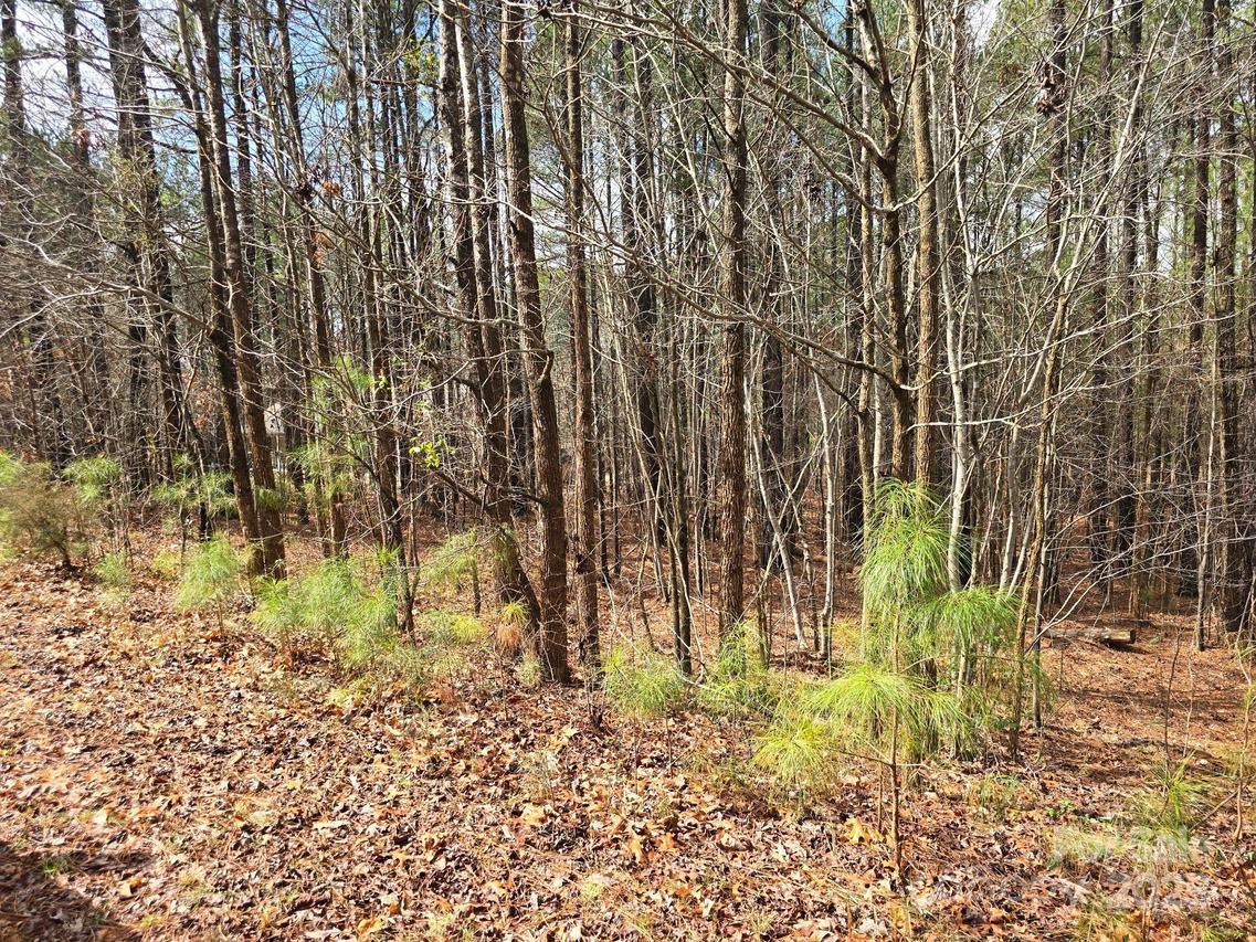 225 Cove Wood Dr., Denton, NC 27239