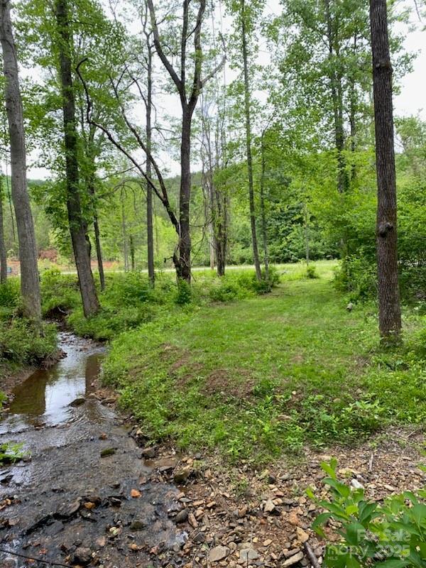 Pine Needle Ln., Bostic, NC 28018