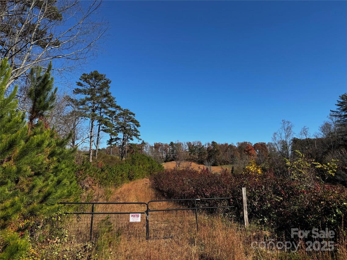38 Flourish Farm Ln., Asheville, NC 28806