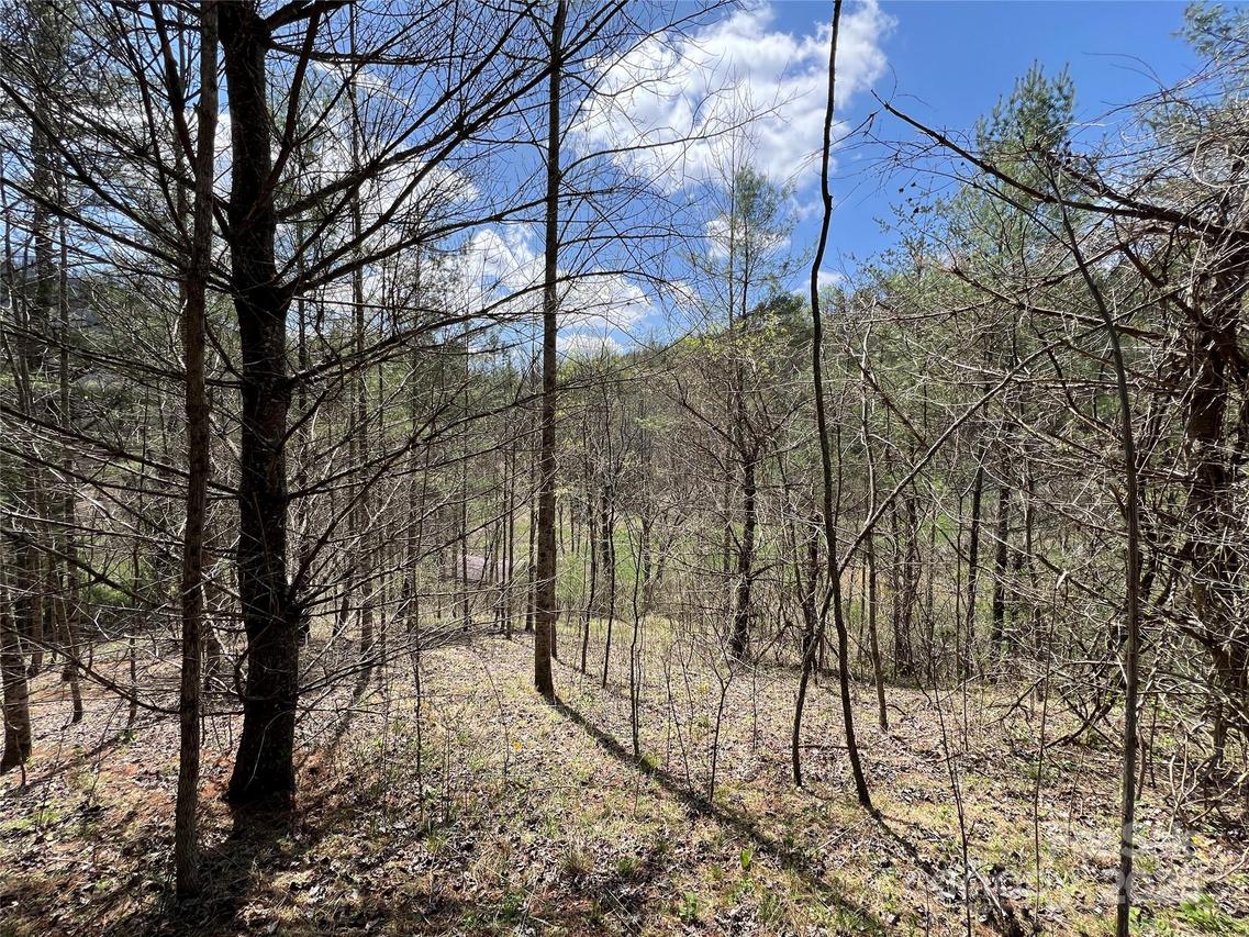 999 Freedom Ln., Hot Springs, NC 28743