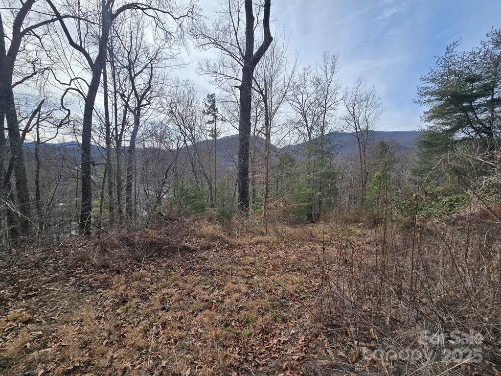 425 Crocus Ln., Dillsboro, NC 28725