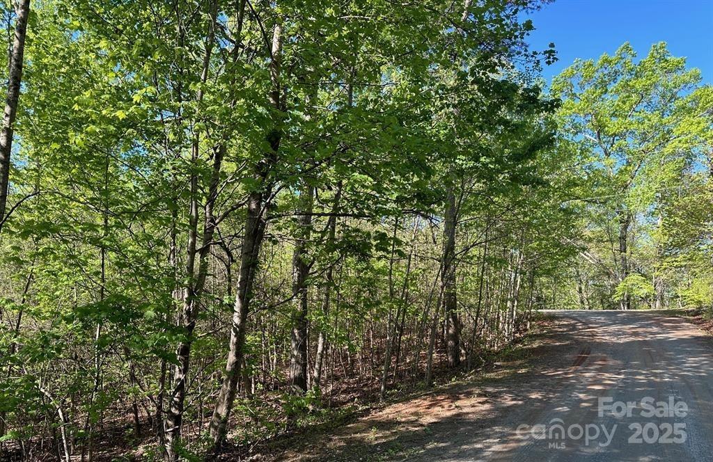 V/L #10 Deer Crossing Dr., Marion, NC 28752