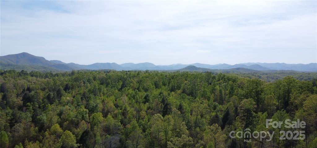 V/L #12 Deer Crossing Dr., Marion, NC 28752