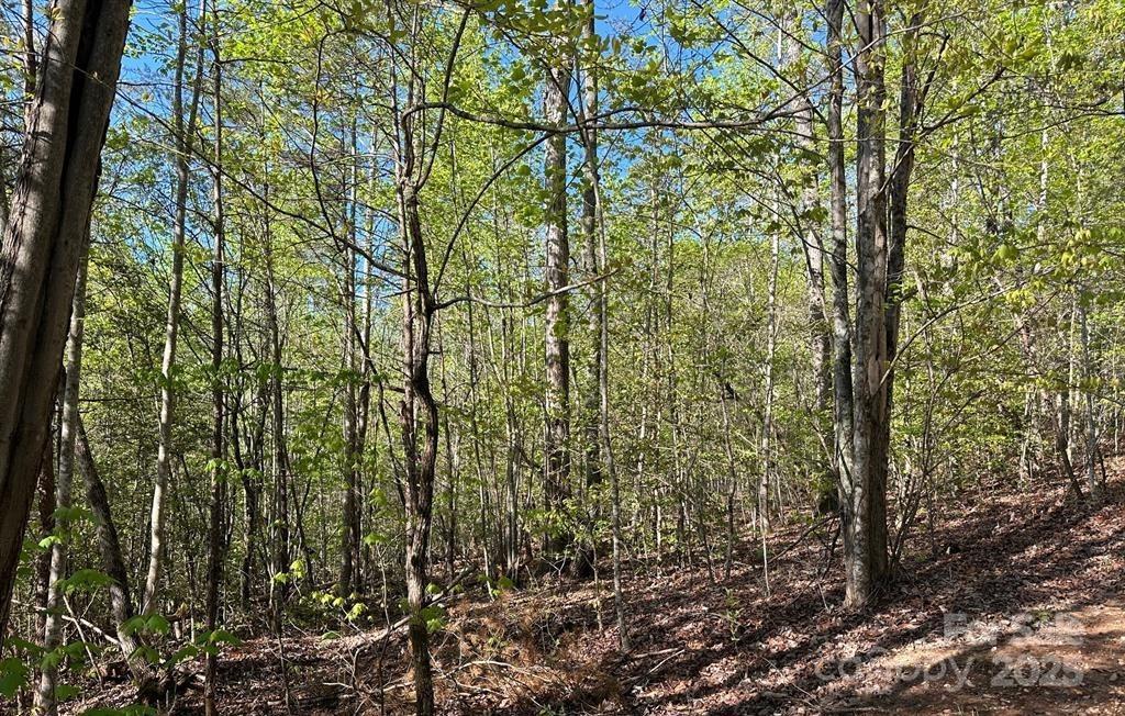 V/L #13 Deer Crossing Dr., Marion, NC 28752