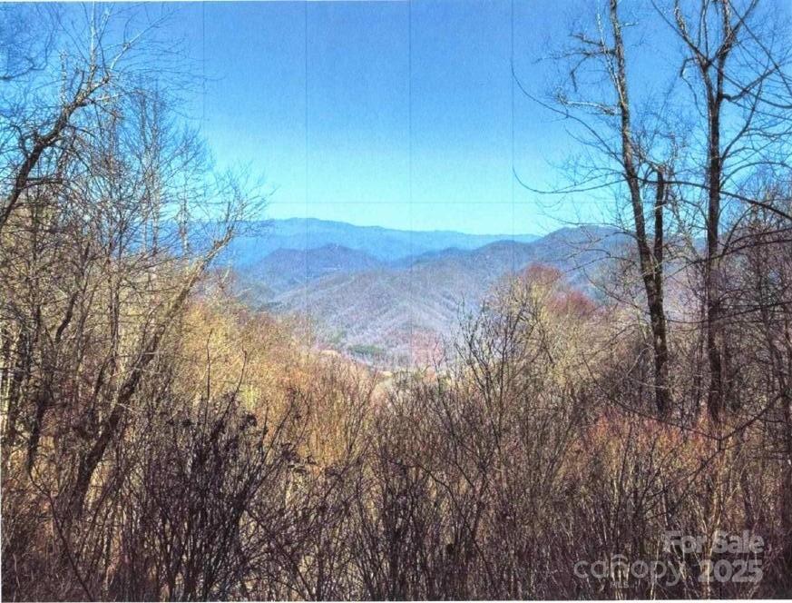 33 Butterfly Path, Bryson City, NC 28713
