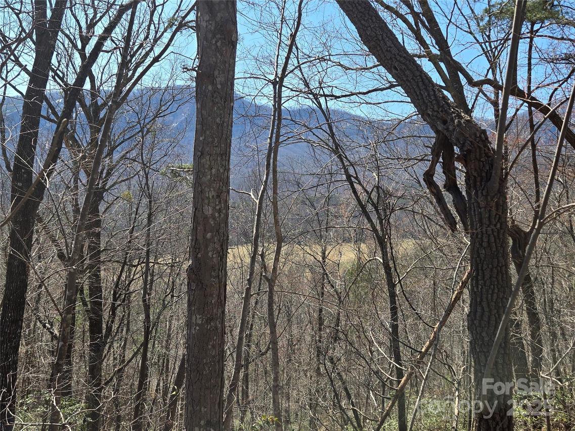 Lot 57 Banjo Ct., Lake Lure, NC 28746