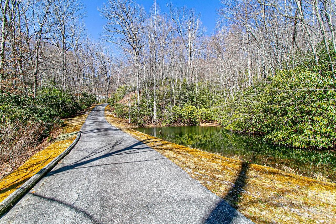 TBD Still Branch Rd. #L20, Brevard, NC 28712